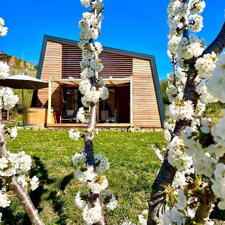 Maxi Sonce, Odprte Vasi Villa Prvacina Екстериор снимка