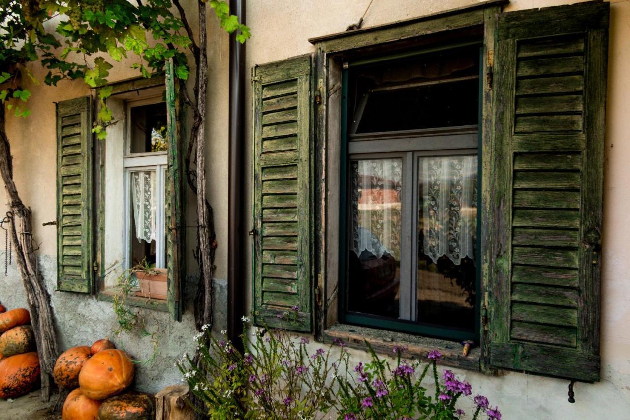 Maxi Sonce, Odprte Vasi Villa Prvacina Екстериор снимка