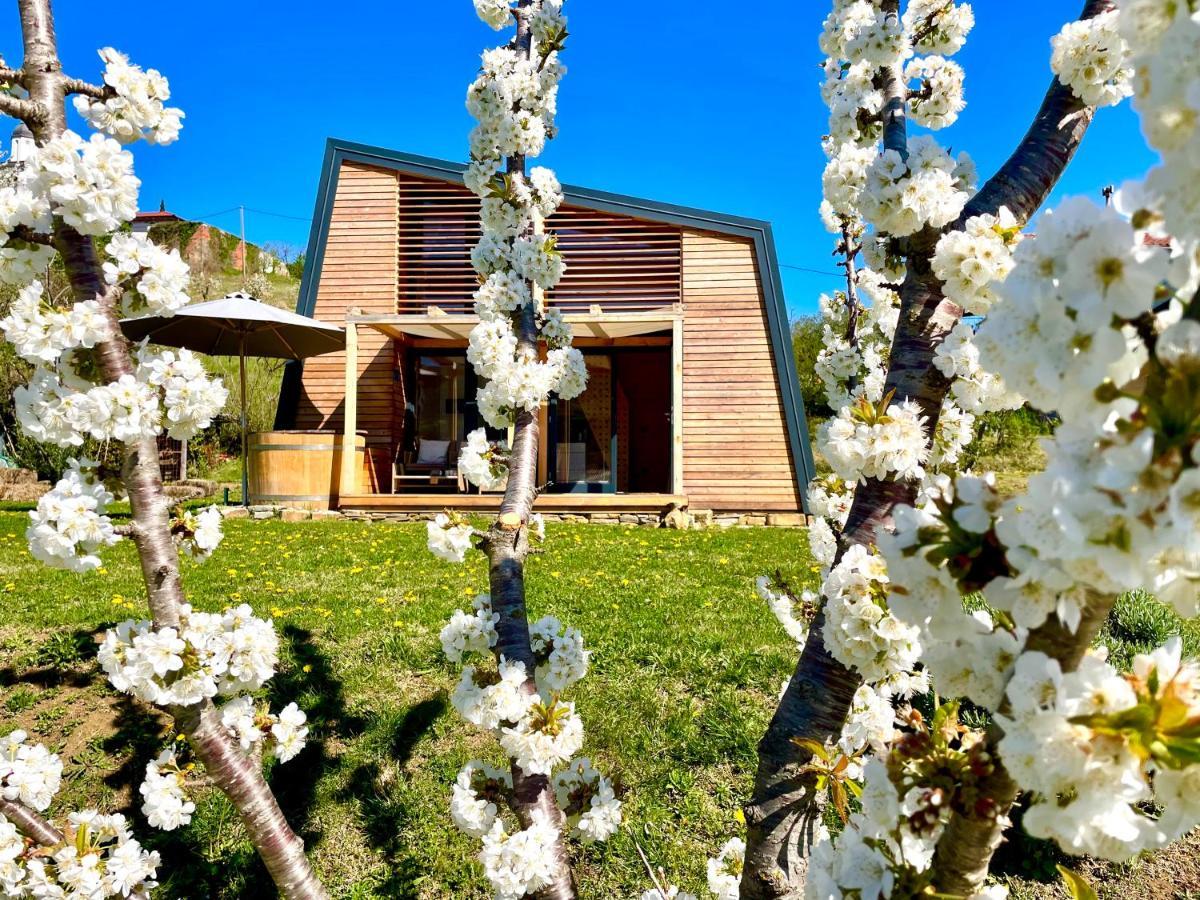 Maxi Sonce, Odprte Vasi Villa Prvacina Екстериор снимка